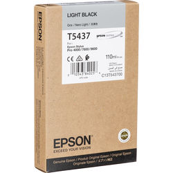 Epson UltraChrome -- Light Black (110ml)